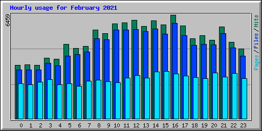 Hourly usage for February 2021