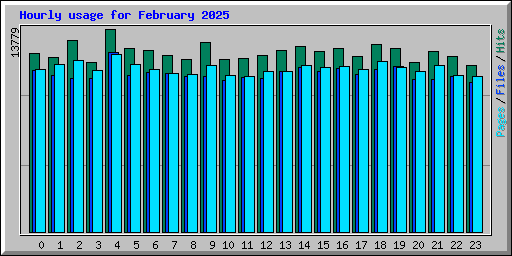 Hourly usage for February 2025