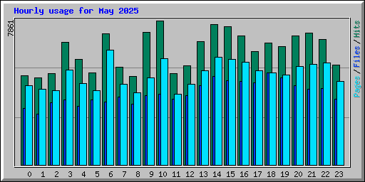 Hourly usage for May 2025