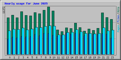 Hourly usage for June 2025