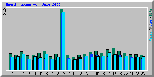 Hourly usage for July 2025