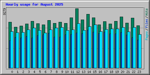 Hourly usage for August 2025