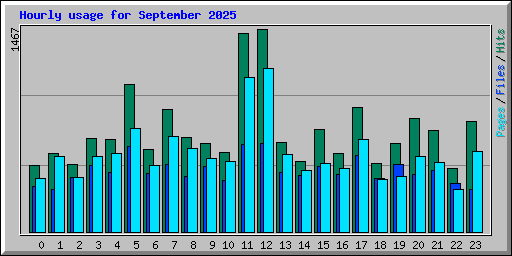Hourly usage for September 2025